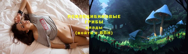 экстази Белокуриха
