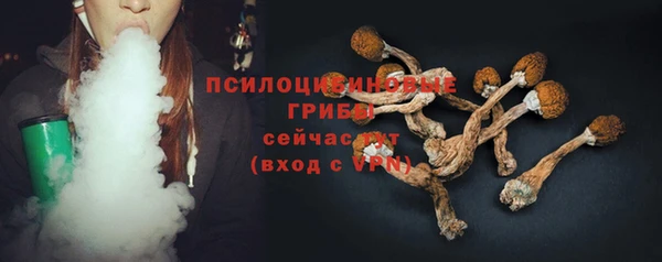а пвп мука Бородино