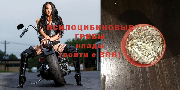 экстази Белокуриха