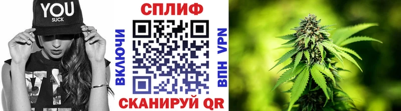 Бошки Шишки LSD WEED  магазин  наркотиков  Жиздра 